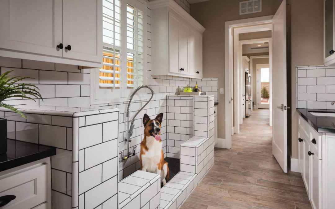 Tile Is The Perfect Backdrop For A Custom Pet Shower